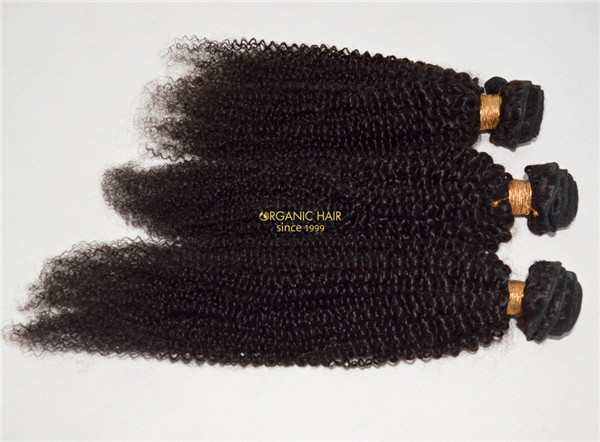 Afro kinky curly real 100 human hair extensions
