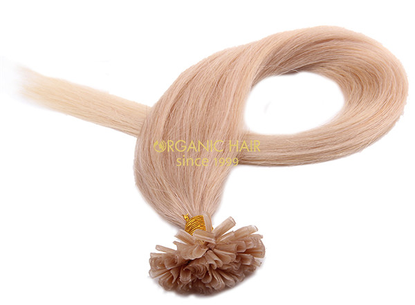 Malaysian hair sensational hair u tip hair extensions prices #24 Malaysian hair sensational hair u tip hair extensions prices #24