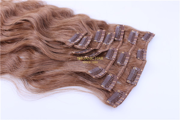 Real hair #6 clip extensions hair extensions melbourne Real hair #6 clip extensions hair extensions melbourne