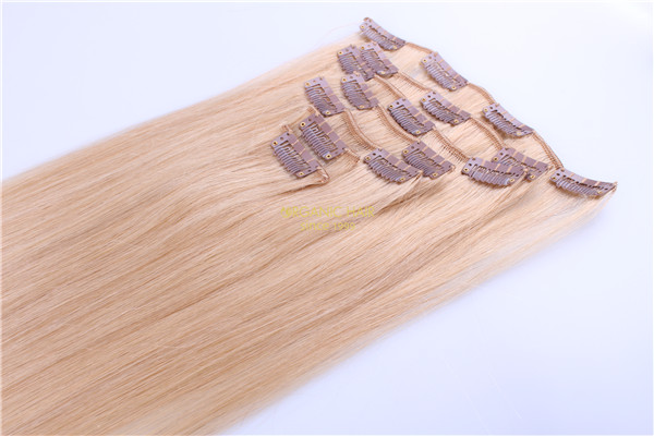 clip on hair real hair extensions sydney